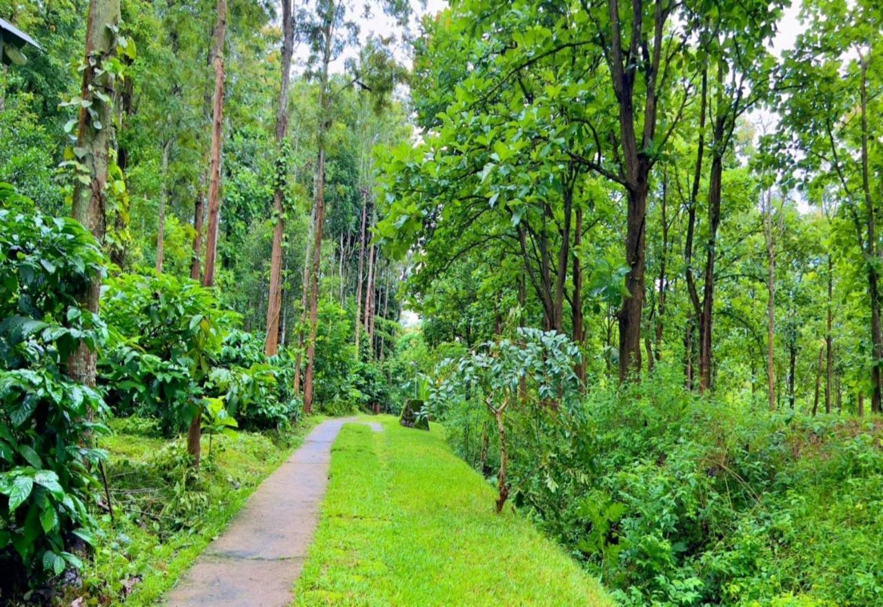 Adrak Mountain Mist Forest Resort Pulpally Zewnętrze zdjęcie